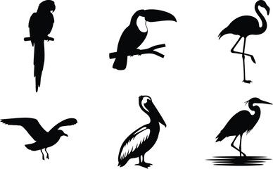 Fototapeta premium Tropical bird vector silhouette set with parrot, toucan, flamingo, pelican, heron, seagull