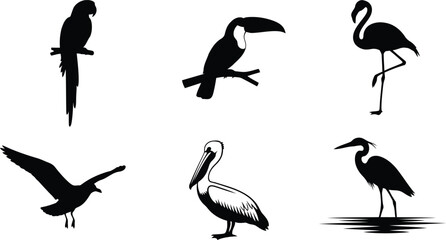 Fototapeta premium Tropical bird vector silhouette set featuring flamingo, toucan, pelican, parrot, and heron designs