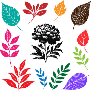 Roughening Colorful Hand Drawn Autumn Leaves and Peony Flower Vector Set, Floral Elements for Nature Design