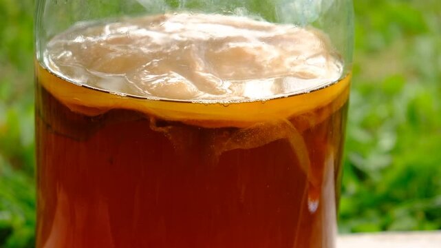 Kombucha in a jar at home. Selective focus.