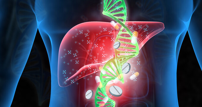 3D medical illustration of a human liver and gallbladder integrated with glowing DNA double helix strands and falling pharmaceutical capsules on a professional scientific blue background.