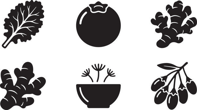 Superfood Nutrition, Healthy Organic Ingredients and Antioxidant Rich Food Silhouette Icon Set Vector Illustration