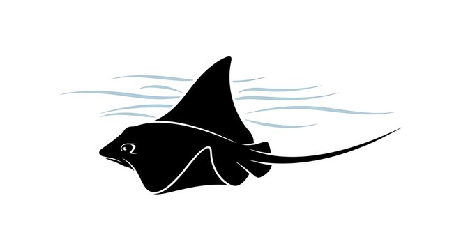 Black stingray swimming in ocean water.