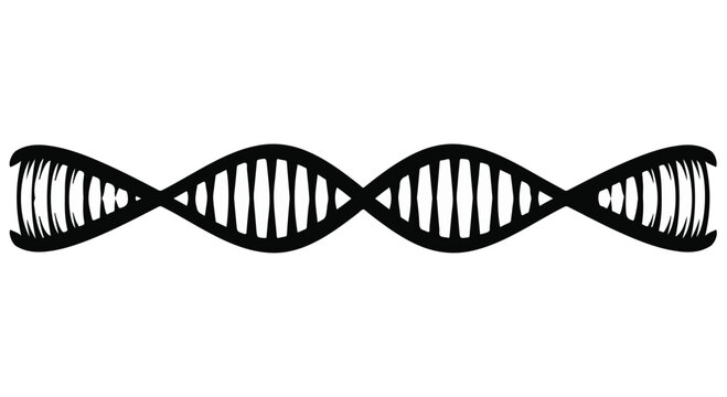 Abstract black and white illustration of a DNA helix, representing genetics and science