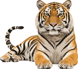 Obraz premium Luxury metallic tiger lounging vector illustration, shimmering foil-effect majestic big cat resting pose for wildlife power decor tattoo logo and premium designs