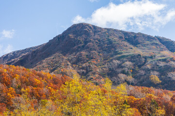 日本の風景・秋　紅葉の山形蔵王　蔵王中央高原