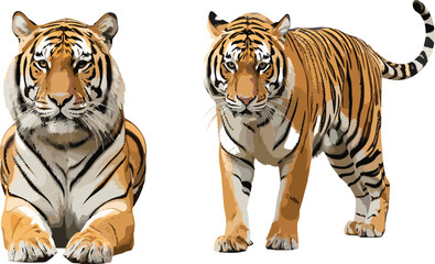 Obraz premium Metallic chrome tiger duo vector illustration, shiny orange striped sitting and standing tigers for luxury wildlife modern decor tattoo logo and power designs