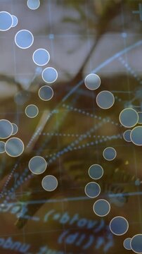 Vertical video: Focus shifting twin dots pulsing moving and linking grid showing network on fern