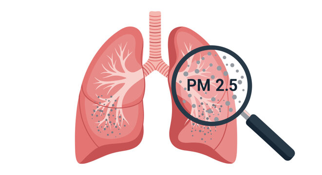 Illustration of human lungs filled with dust particles and a magnifying glass focusing on PM 2.5 air pollution risk.