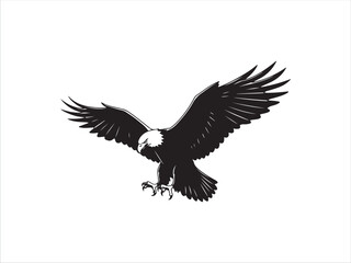 Fototapeta premium Black and white eagle bird flying with outstretched wings in mid air