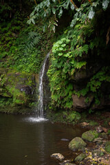 Tropical island waterfall © Mackenzie
