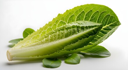 Fototapeta premium Fresh Romaine Lettuce on White Background a Healthy and Nutritious Choice
