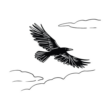 Vector flying crow icon in black and white