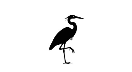 Obraz premium Black silhouette of a heron bird.