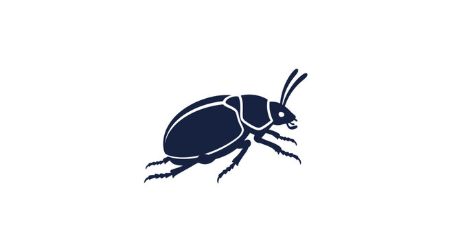 Closeup of a Black Beetle Insect.