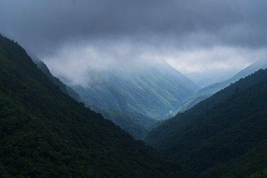 Cherrapunji, India - 24 July 2023: View of the lush, verdant valley shrouded in ethereal mist, where the deep greens of the slopes meet the soft greys of the sky.