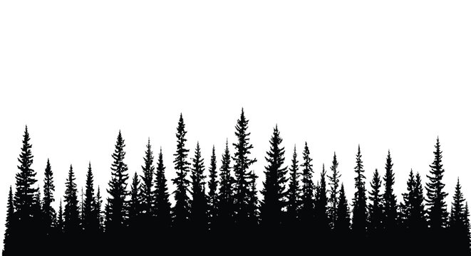 Pine Forest Silhouette Landscape Nature Tree Border Illustration