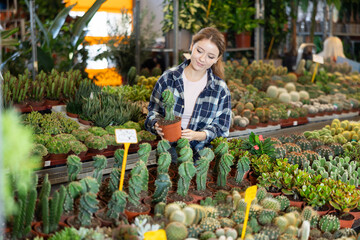 Female landscape designer gets acquainted with assortment of flower shop warehouse, selects plants to create landscaping project, select and buy cactus seedling. © JackF