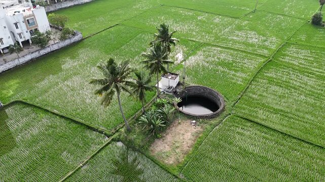 Drone footage from above shows a beautiful round well beside lush green paddy fields. The neat rows of rice crops and calm rural surroundings create a peaceful village scene from the sky.
