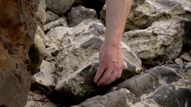 Hand lifts large rock on rocky shore searching for marine life like crabs shells but finds nothing underneath.