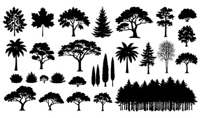 Detailed individual and group tree silhouettes vector collection isolated on white