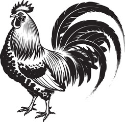 Rooster vector illustration in black and white sketch style for farm organic logo design mark © lok0077