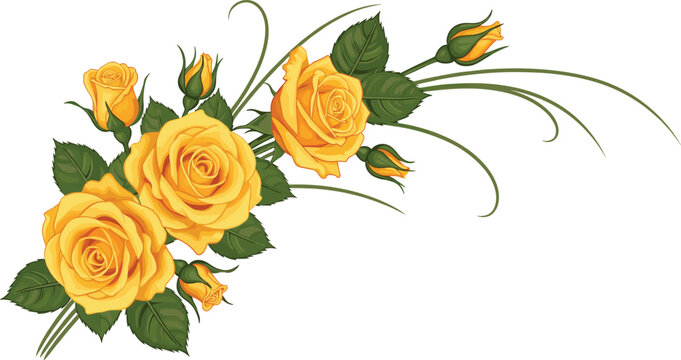 Romantic yellow rose bouquet corner design vector isolated on white background