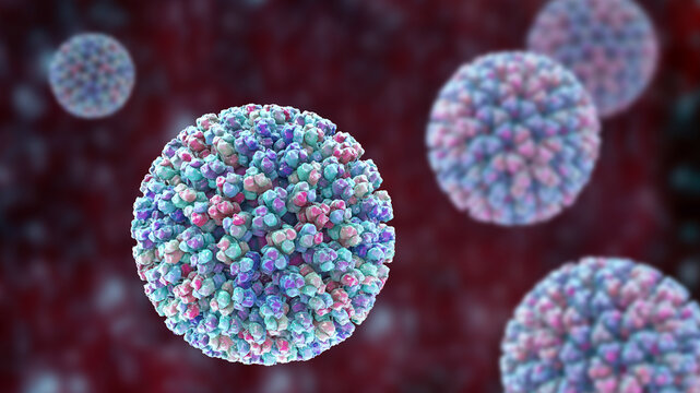 Bluetongue virus virion, 3D illustration