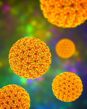 Bluetongue virus virion, 3D illustration