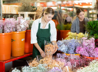 Female employee uses gypsophila flowers to create bouquet. Flower megamarket, potted and cut flowers, gardening ideas, gardening supplies. © JackF