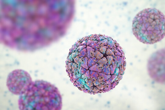 Foot-and-mouth disease virus virion, 3D illustration