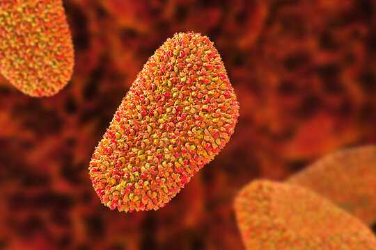 Human immunodeficiency virus type 1 virion, 3D illustration