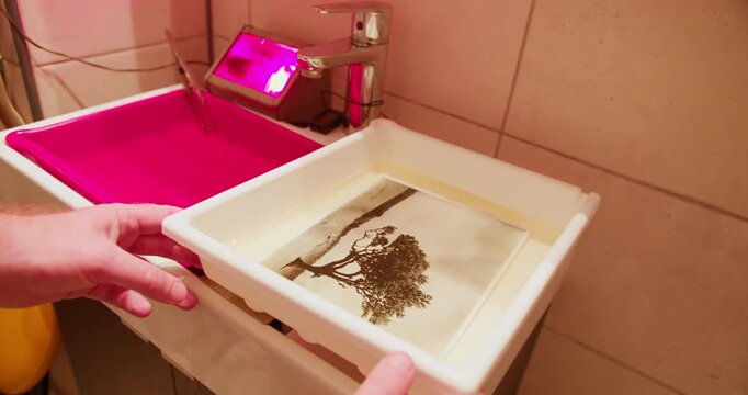 Photographic print fixing in darkroom as part of classic analog photography workflow. Manual print finishing process