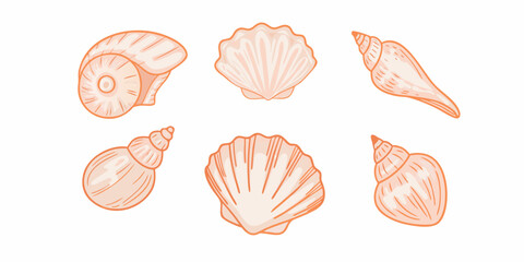 A collection of delicately illustrated orange seashells on a white background © Poly