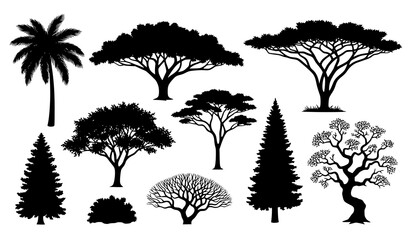 Detailed tree silhouettes vector set from various climate and natural zones © MstNadiya