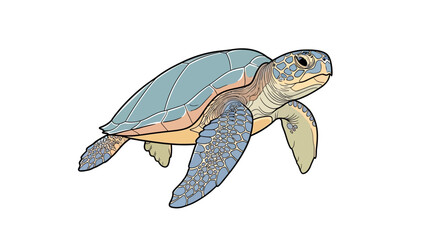 Sea Turtle Swimming in Water Illustration. © Ferry
