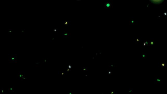 Colorful Confetti Explosion Animation with Floating Party Lights on Dark Background Perfect for Celebrations Events Festive Video Projects