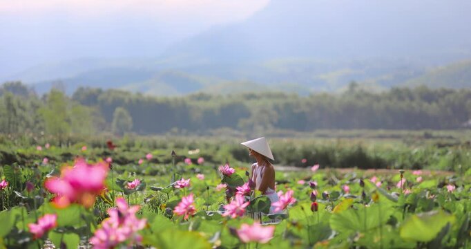 Woman in Lotus Field Quang Nam Vietnam Cinematic
