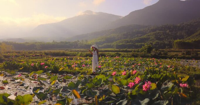 Woman In Lotus Pond At Sunrise, Tra Ly Thai Binh Vietnam Cinematic