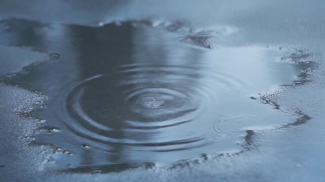 Water Ripples Forming in a Quiet Ice Pool