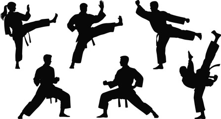 Martial arts silhouettes, karate taekwondo kung fu vector, fighting pose illustration, self defense clipart, combat training icon, sports discipline design © MdAnisur
