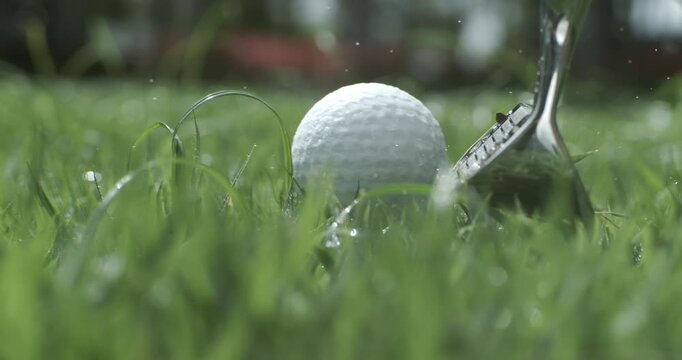 Golf club hits a white golf ball in a super slow motion. Drops of morning dew and grass particles rise into the air after the impact. Shot on super slow motion camera 1000 fps.