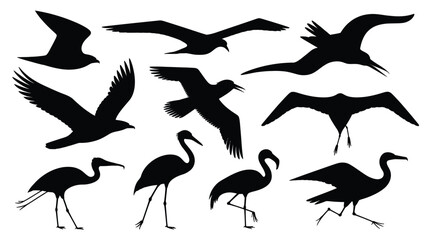 Nine black bird silhouettes flying and standing black birds