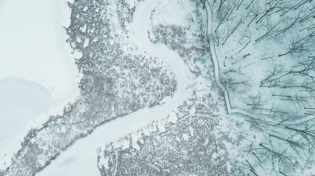 Aerial view of frozen wetlands and snow-covered trees in winter serenity