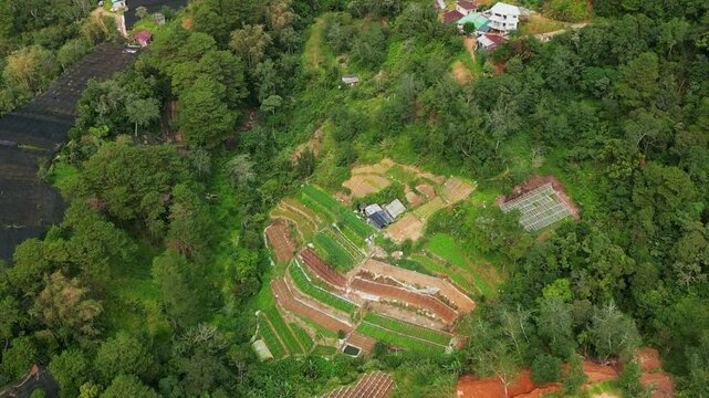 Aerial pullback of hillside terraces amid lush woodland and scattered homes - La Trinidad, Benguet, Philippines