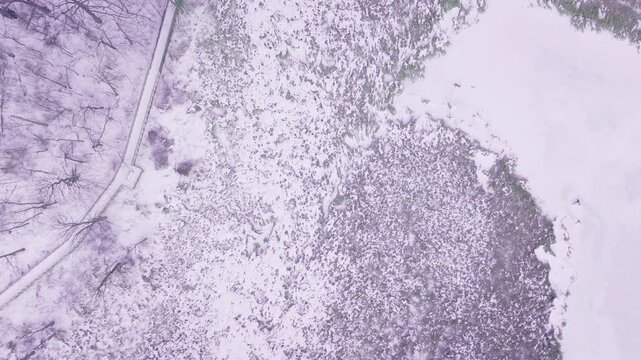 Aerial view of frozen wetlands in winter, tranquil and serene landscape