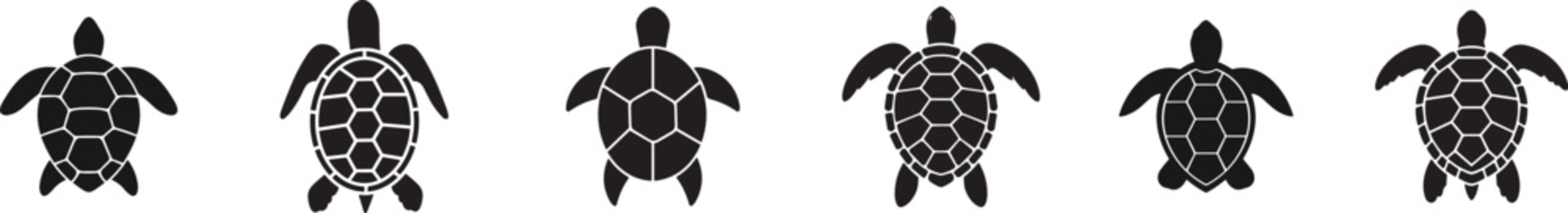Sea turtle top view silhouette vector set. Marine reptile icons with detailed shell patterns. Ocean wildlife collection isolated for logo design, aquarium branding and coastal graphics.