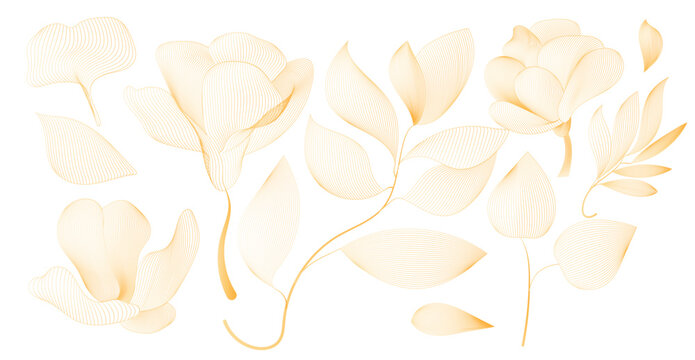 Golden floral line art collection with abstract flowers and leaves featuring elegant botanical vector design isolated on light background
