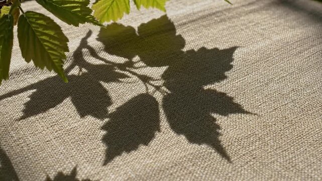 Sunlit leaf shadows on textured fabric surface, abstract nature pattern
