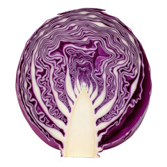 Obraz premium A close-up view of a hand holding a head of purple cabbage against a white background isolated on transparent background